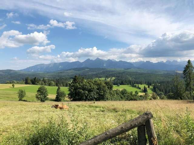 Шале Chatta Łapszanka Łapszanka-25