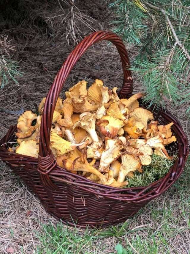 Шале Chatta Łapszanka Łapszanka-45